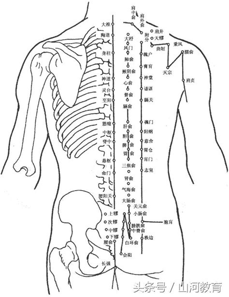 腦門穴|人體穴位圖